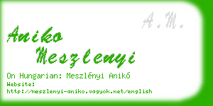 aniko meszlenyi business card