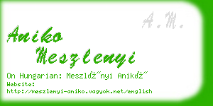 aniko meszlenyi business card